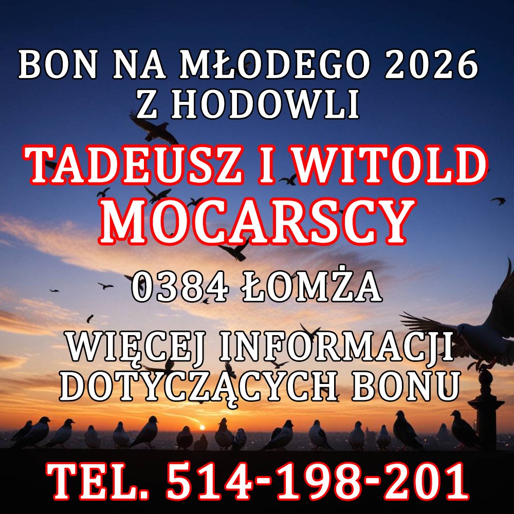 T. & W. MOCARSCY