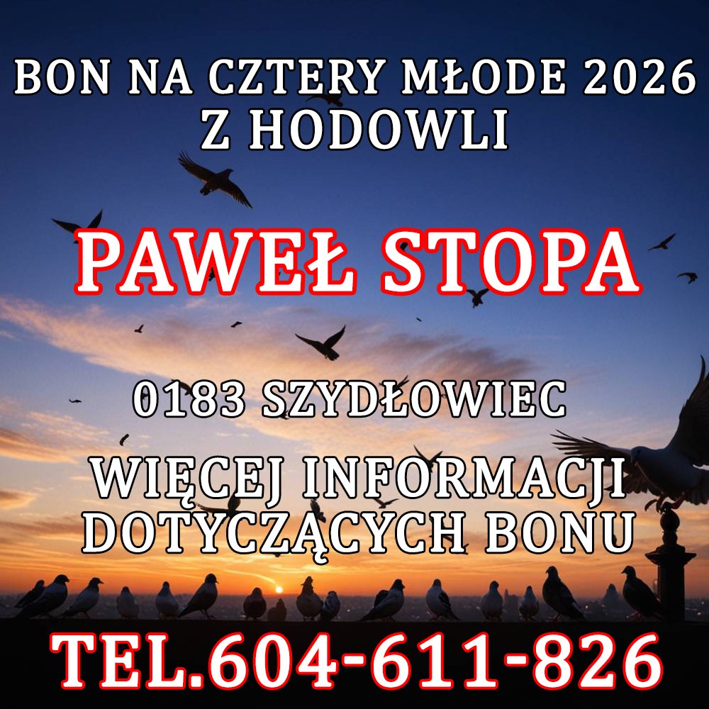 PAWEŁ STOPA