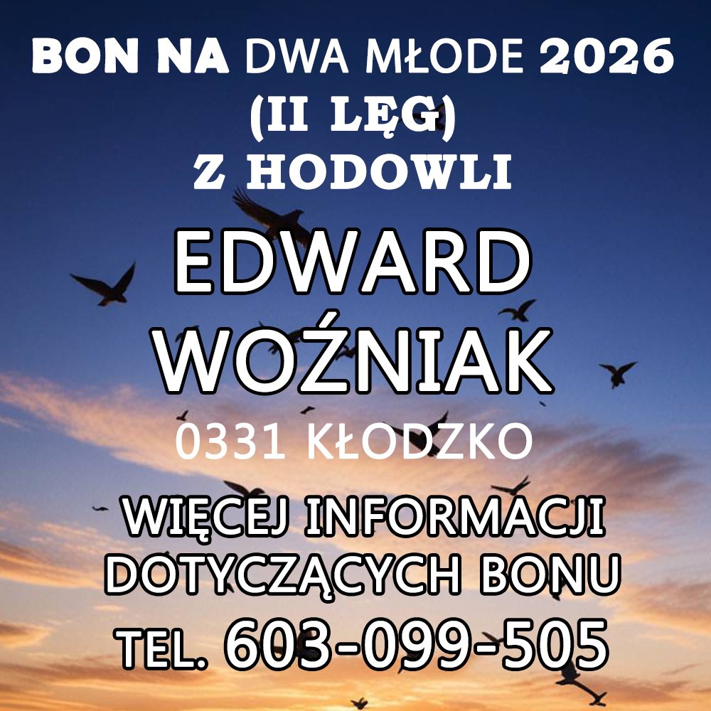 EDWARD WOŹNIAK
