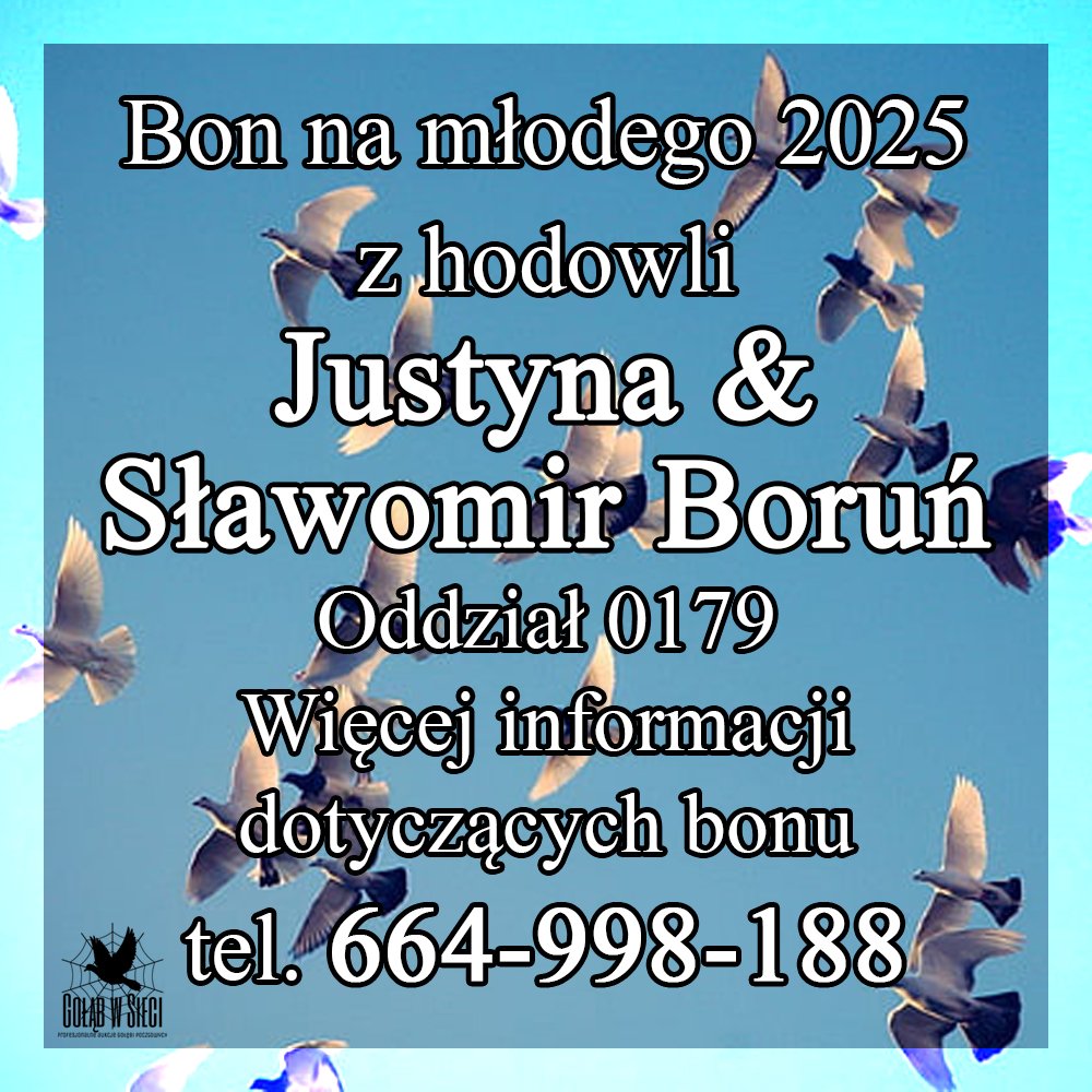 DARCZYŃCA BONU: BORUŃ JUSTYNA & SŁAWOMIR / PZHGP 0179 SKRAŻYSKO - KAMIENNA