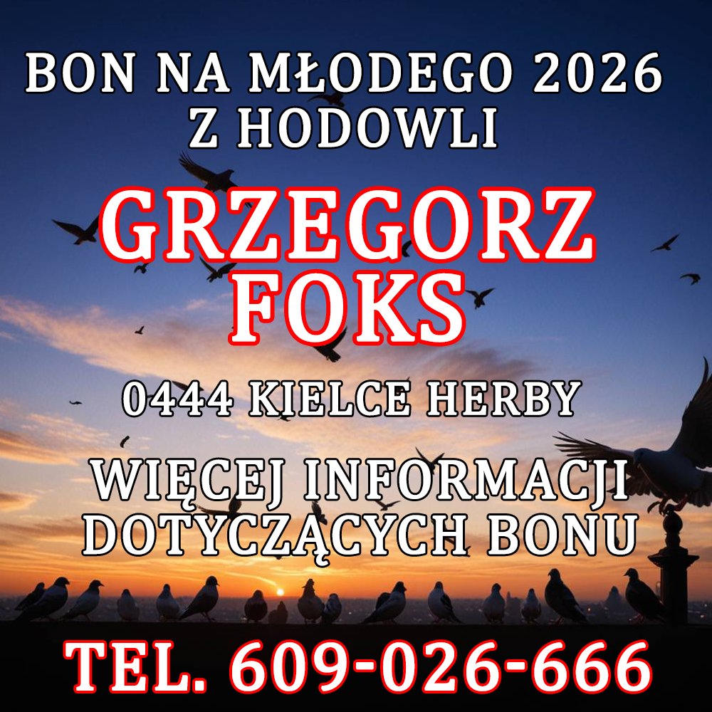 GRZEGORZ FOKS