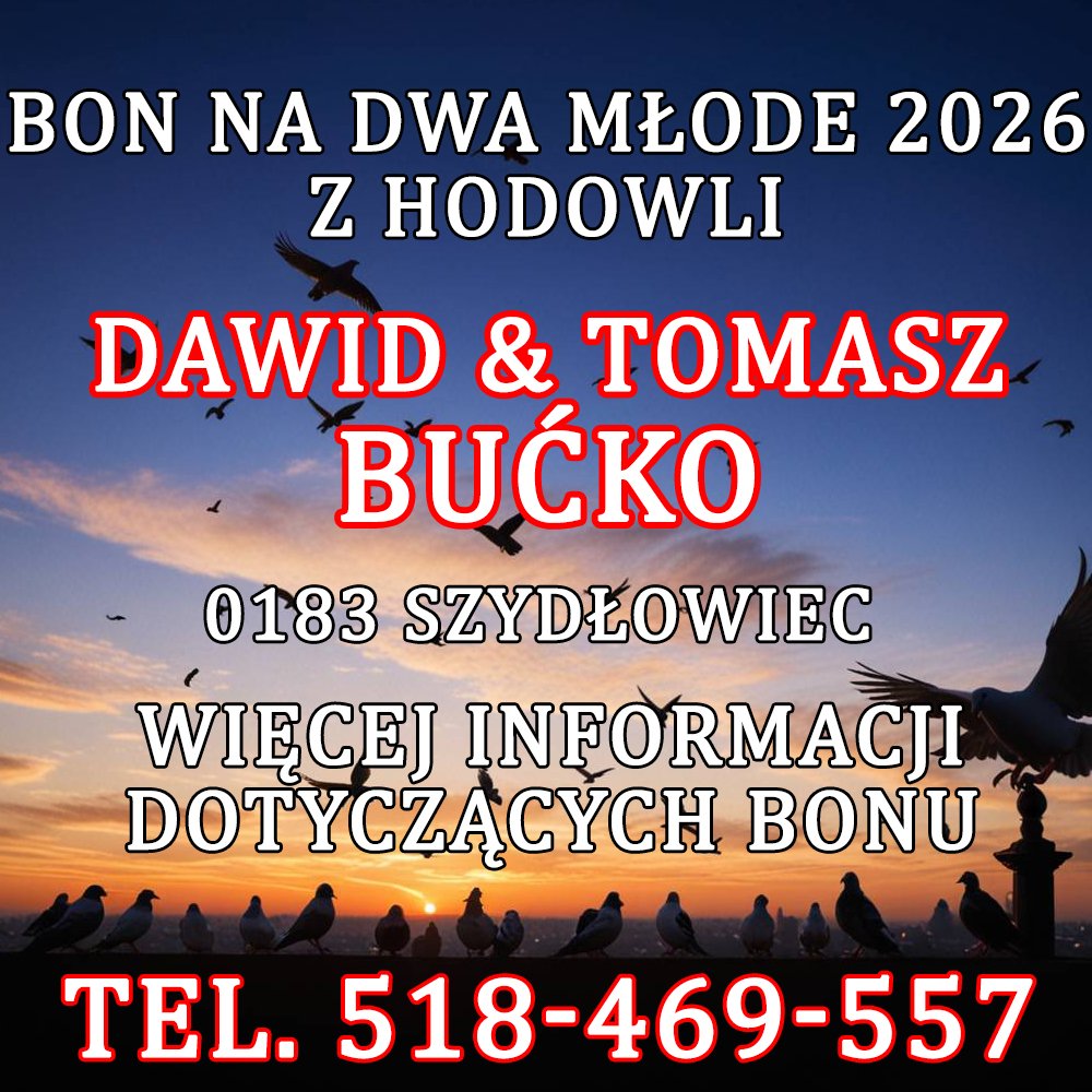 T. & D. BUĆKO