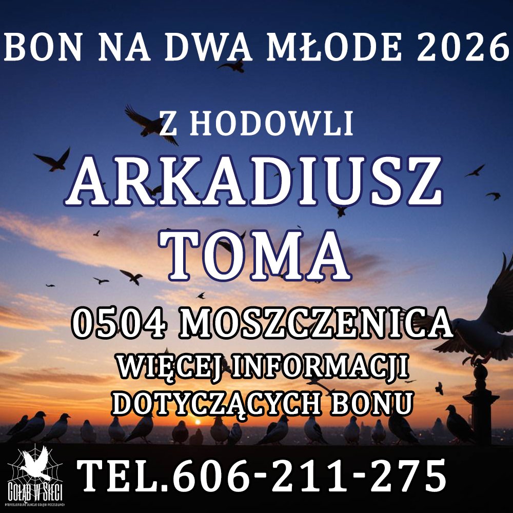 ARKADIUSZ TOMA