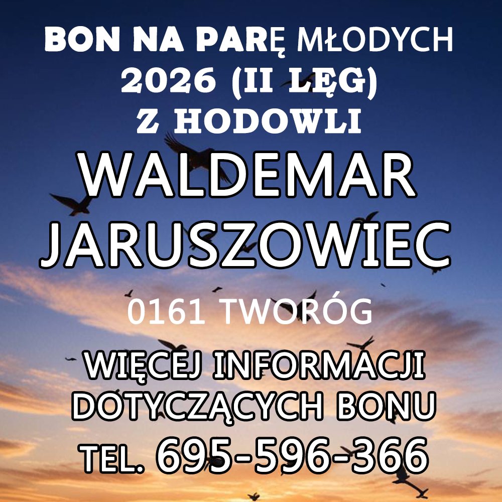 WALDEMAR JARUSZOWIEC