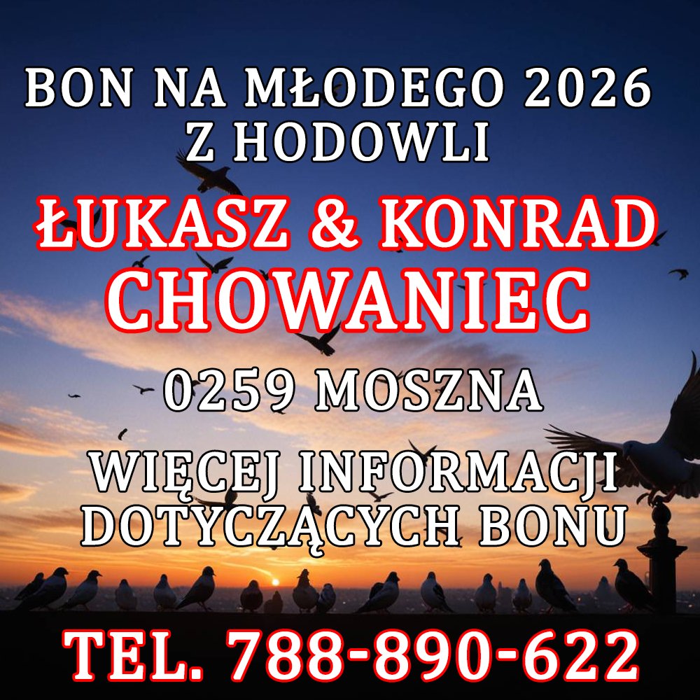 Ł. & K. CHOWANIEC