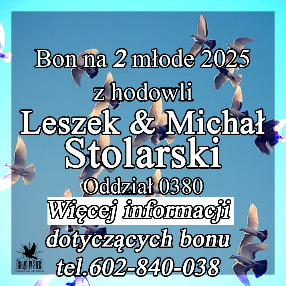 DARCZYŃCA BONU: STOLARSKI LESZEK & MICHAŁ / PZHGP 0380 RADOSZYCE (RODOWODY DWÓCH MŁODYCH W ZAŁĄCZNIKU)