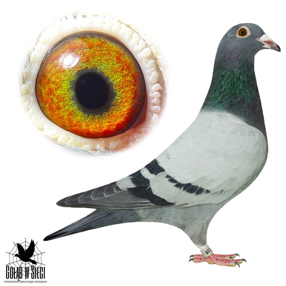 SŁAWOMIR  BORUŃ (1)