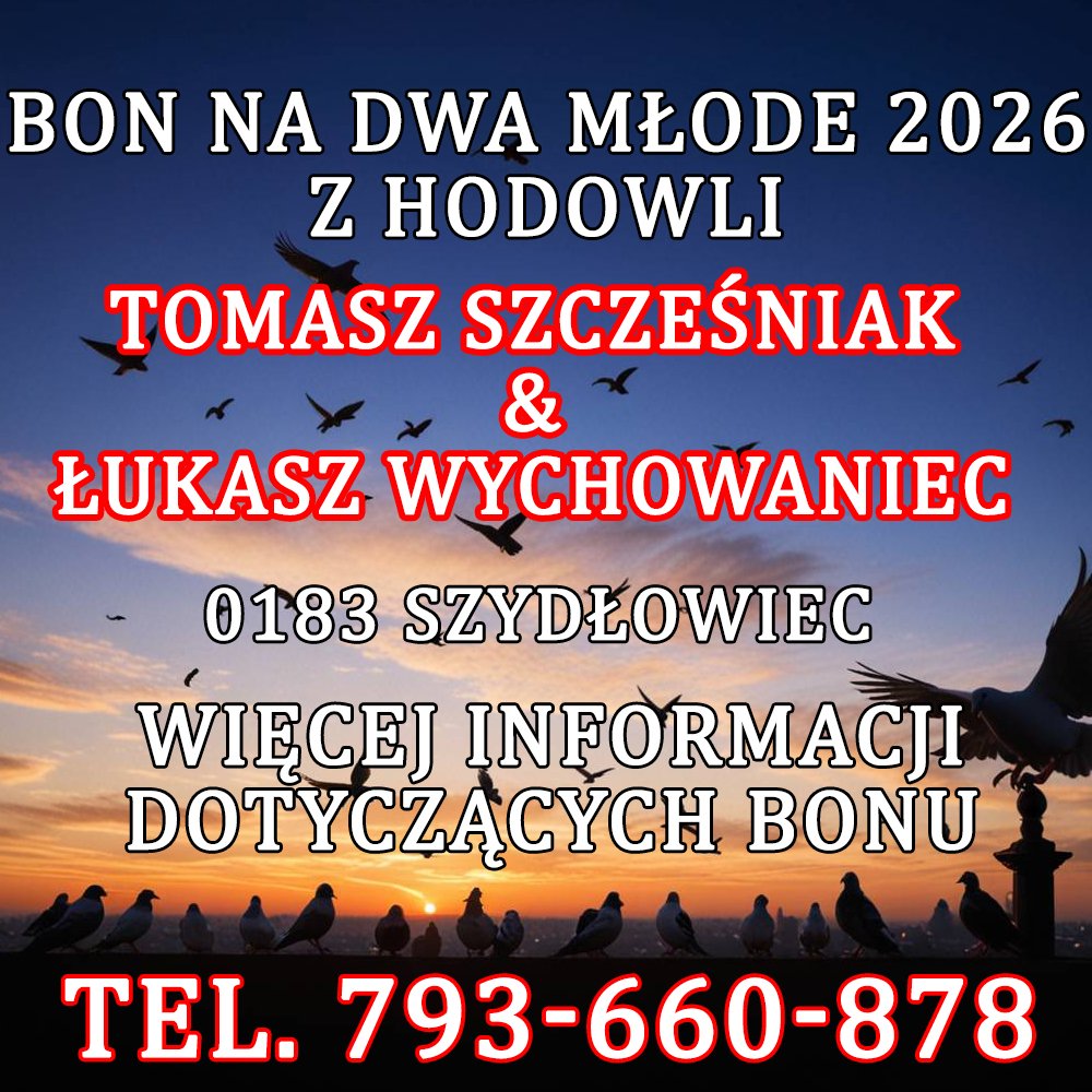SZCZEŚNIAK & WYCHOWANIEC