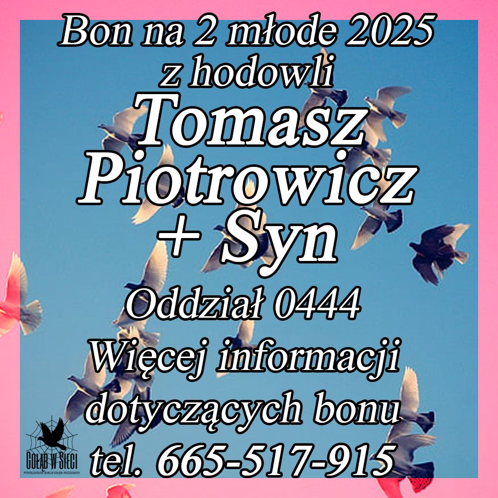 DARCZYŃCA BONU: TOMASZ PIOTROWICZ + SYN / PZHGP 0444 KIELCE HERBY
