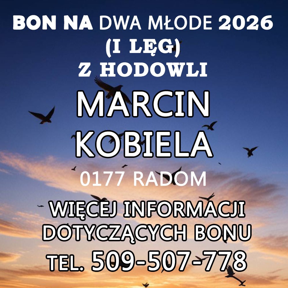 MARCIN KOBIELA
