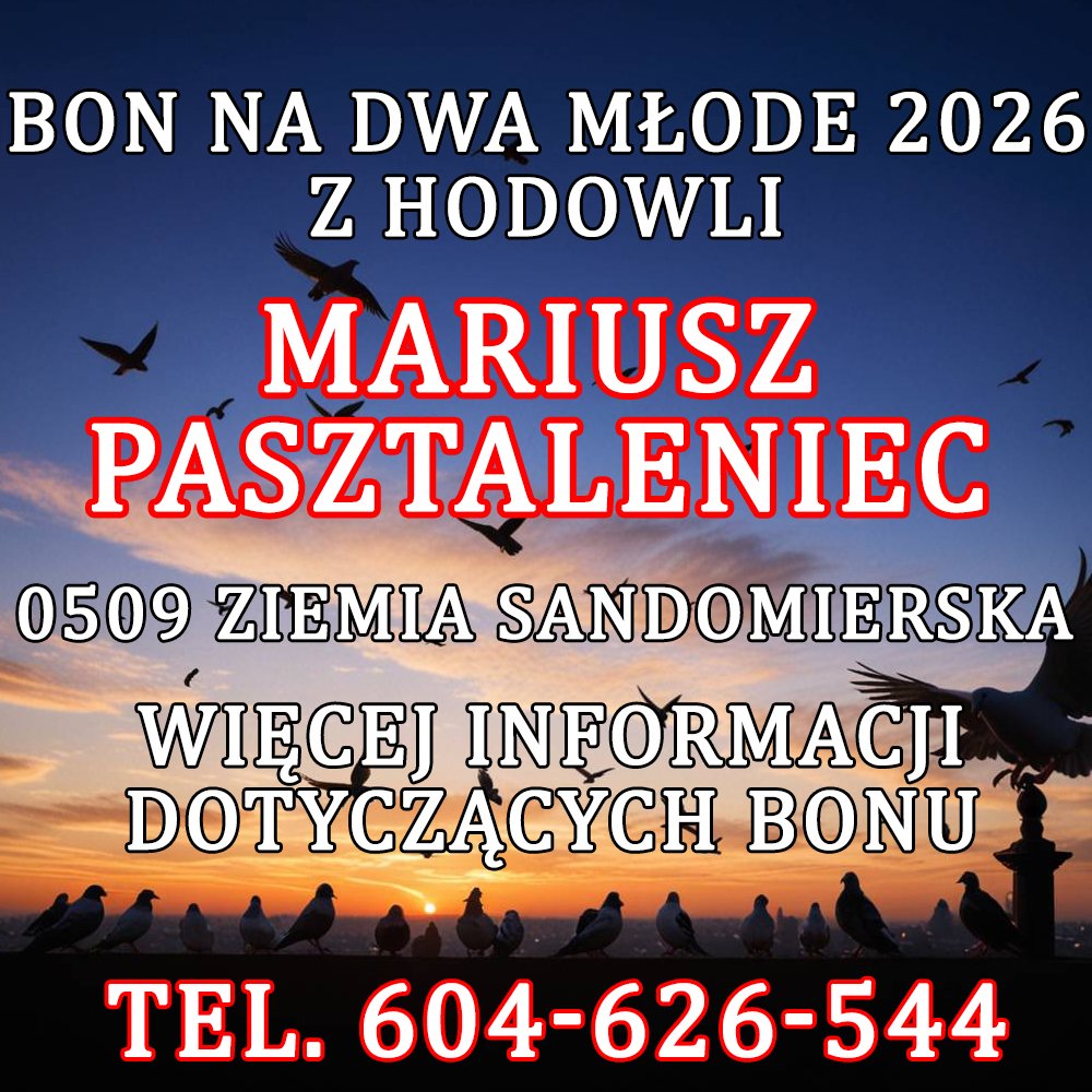 MARIUSZ PASZTALANIEC