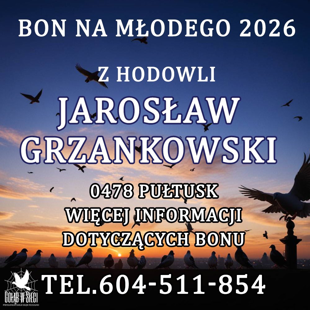 JAROSŁAW GRZANKOWSKI