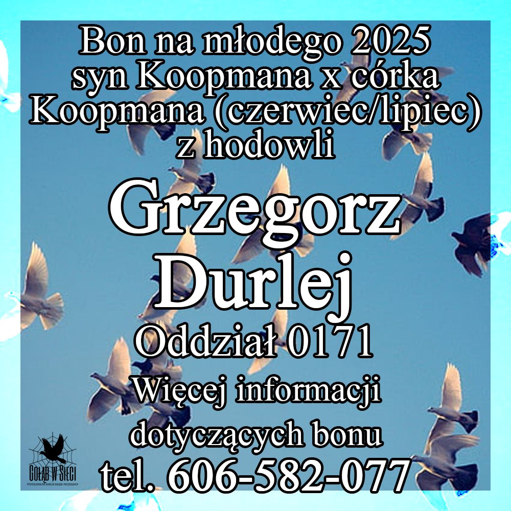 DARCZYŃCA BONU: GRZEGORZ DURLEJ / PZHGP 0171 KIELCE