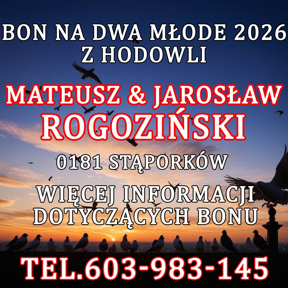 M. & J. ROGOZIŃSKI