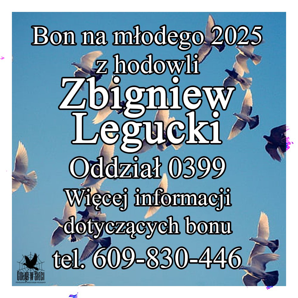 DARCZYŃCA BONU: ZBIGNIEW LEGUCKI / PZHGP 0399 PRZYSUCHA