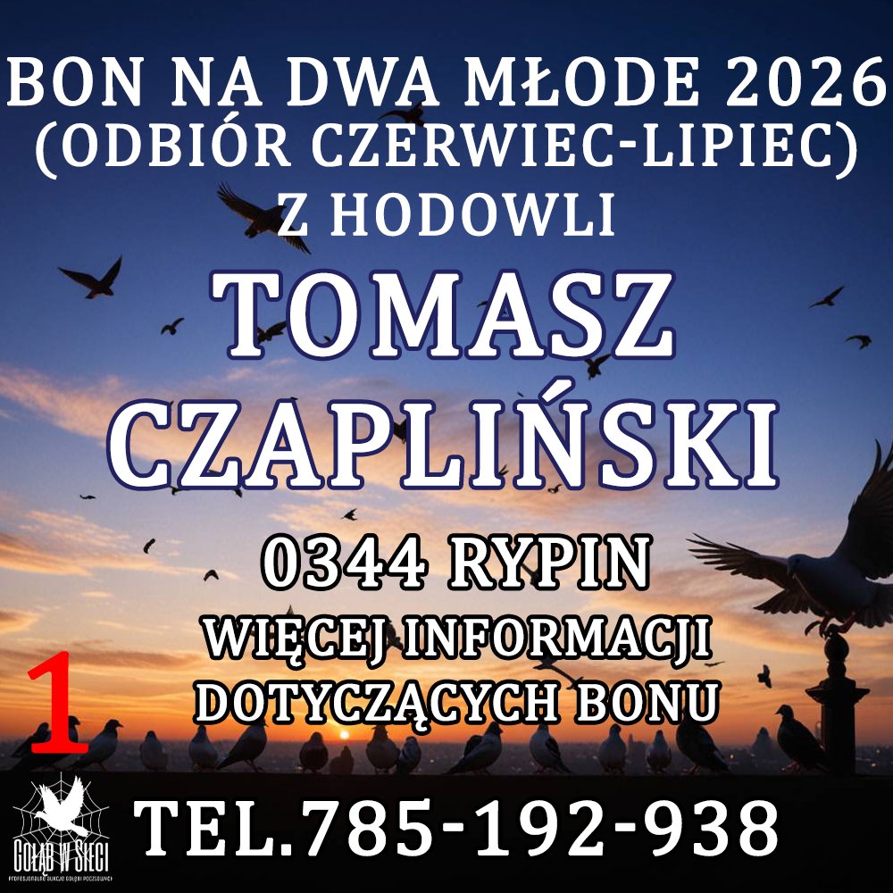 TOMASZ CZAPLIŃSKI (1)