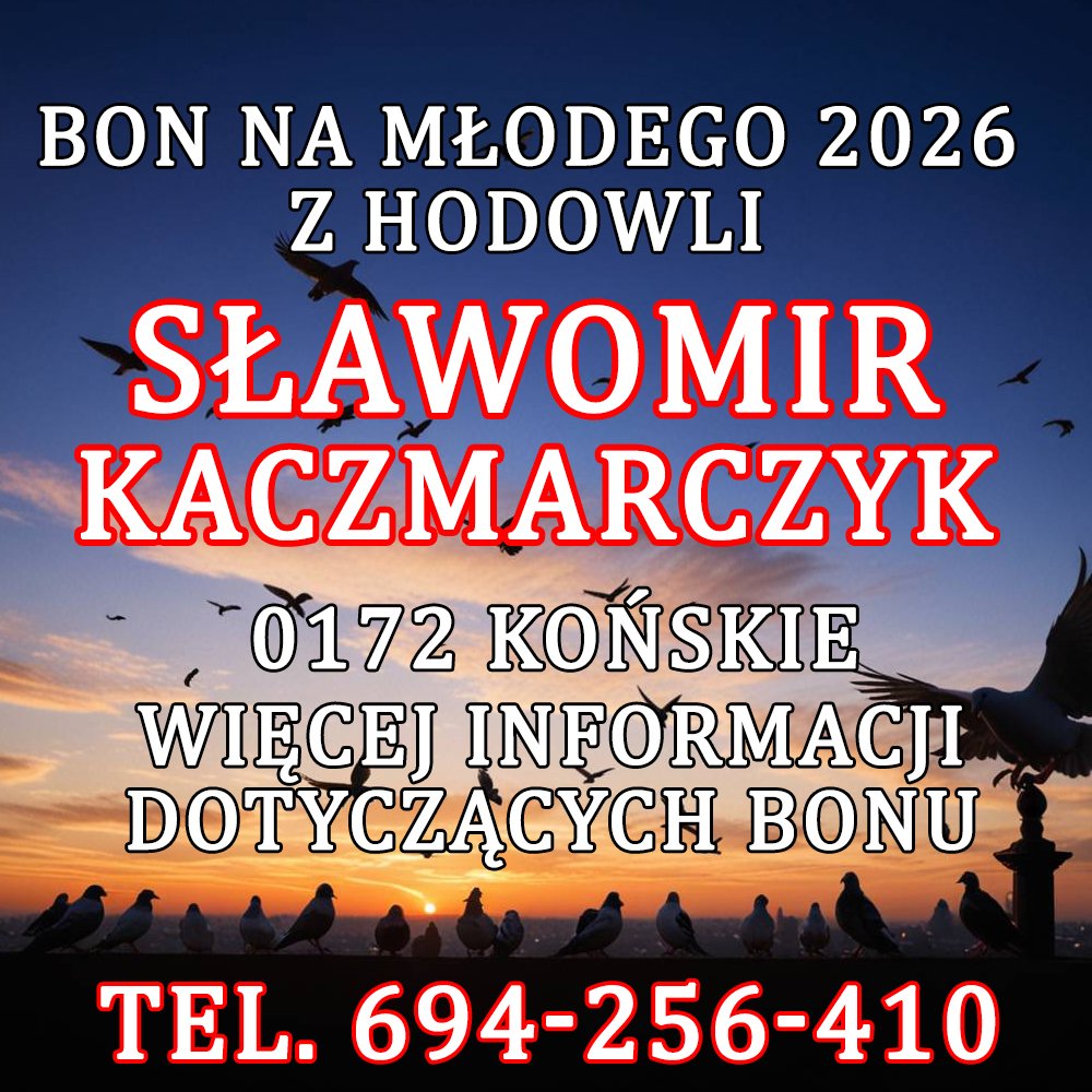 SŁAWOMIR KACZMARCZYK