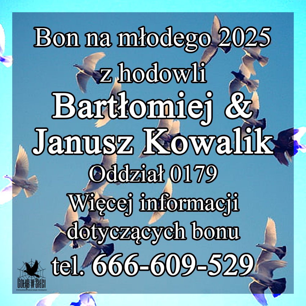DARCZYŃCA BONU: KOWALIK BARTEK & JANUSZ / PZHGP 0179 SKARŻYSKO - KAMIENNA
