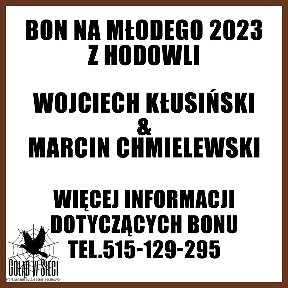WOJCIECH KŁUSIŃSKI & MARCIN CHMIELEWSKI - BON NA MŁODEGO 2023