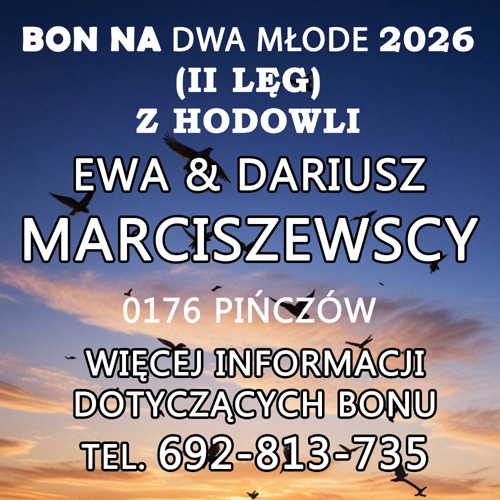 E. & D. MARCISZEWSCY