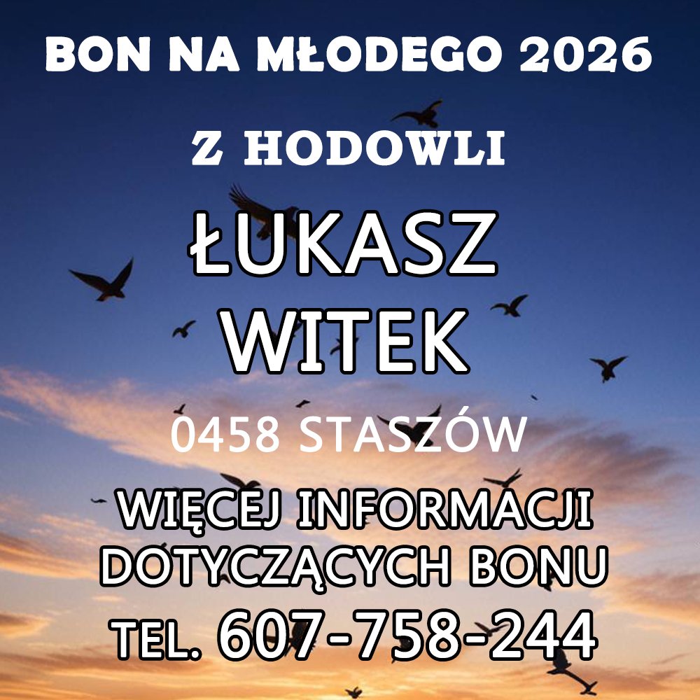 WITEK ŁUKASZ & KAMIL