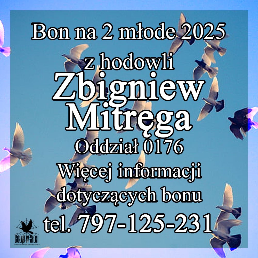 DARCZYŃCA BONU: ZBIGNIEW & WIOLETTA MITRĘGA / PZHGP 0176 PIŃCZÓW