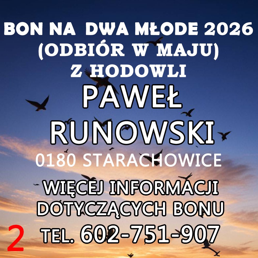 PAWEŁ RUNOWSKI (2)