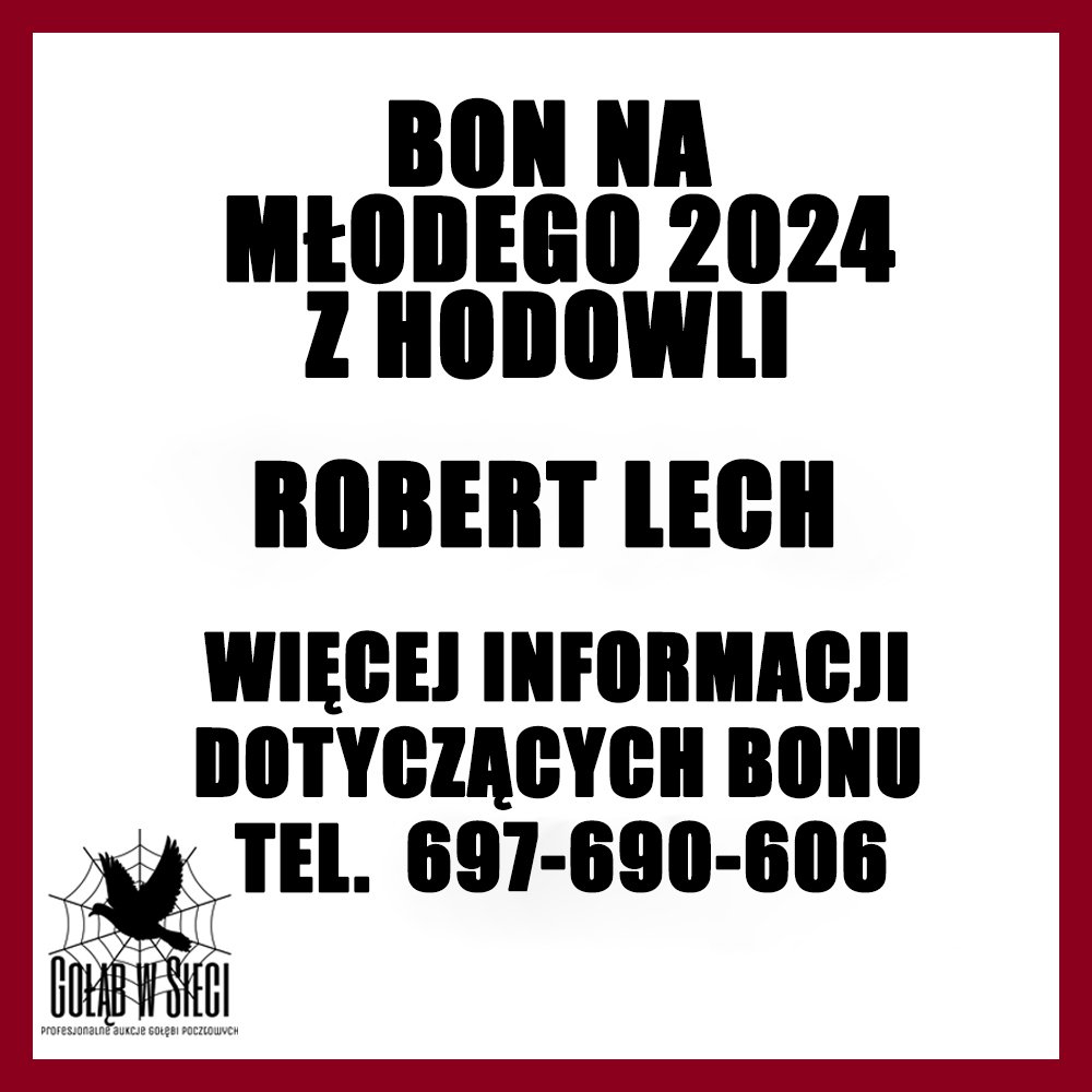 ROBERT LECH - 1