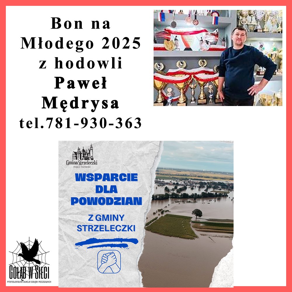 PAWEŁ MĘDRYSA - 0388 ALWERNIA - SPYTKOWICE | BON NA MŁODEGO GOŁĘBIA 2025R |