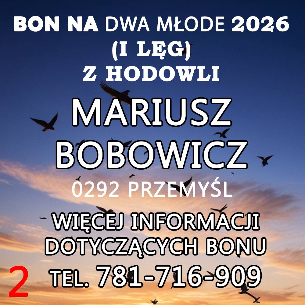 MARIUSZ BOBOWICZ (2)