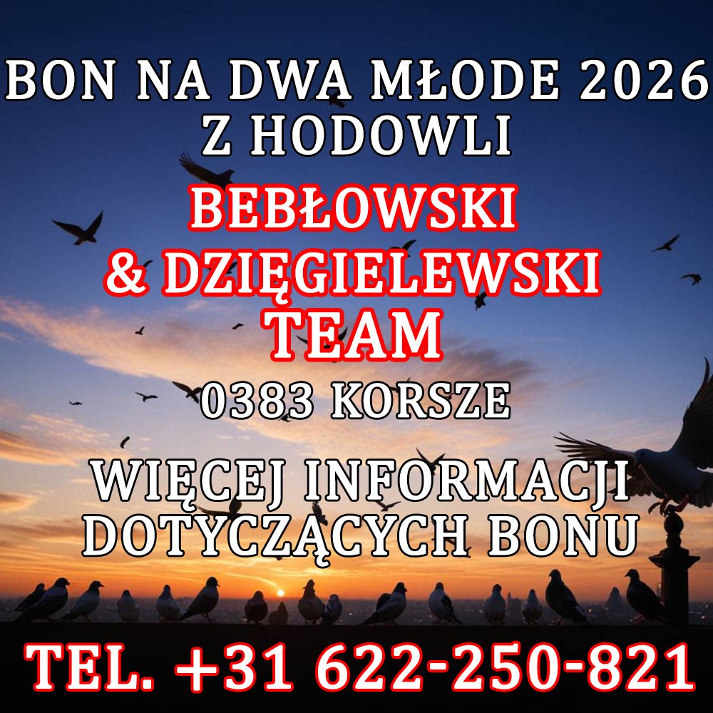 BEBŁOWSKI & DZIĘGIELEWSKI