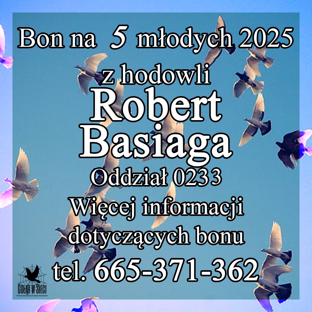 DARCZYŃCA BONU: ROBERT BASIAGA / PZHGP 0233 Nowy Sącz II (BON NR 1)