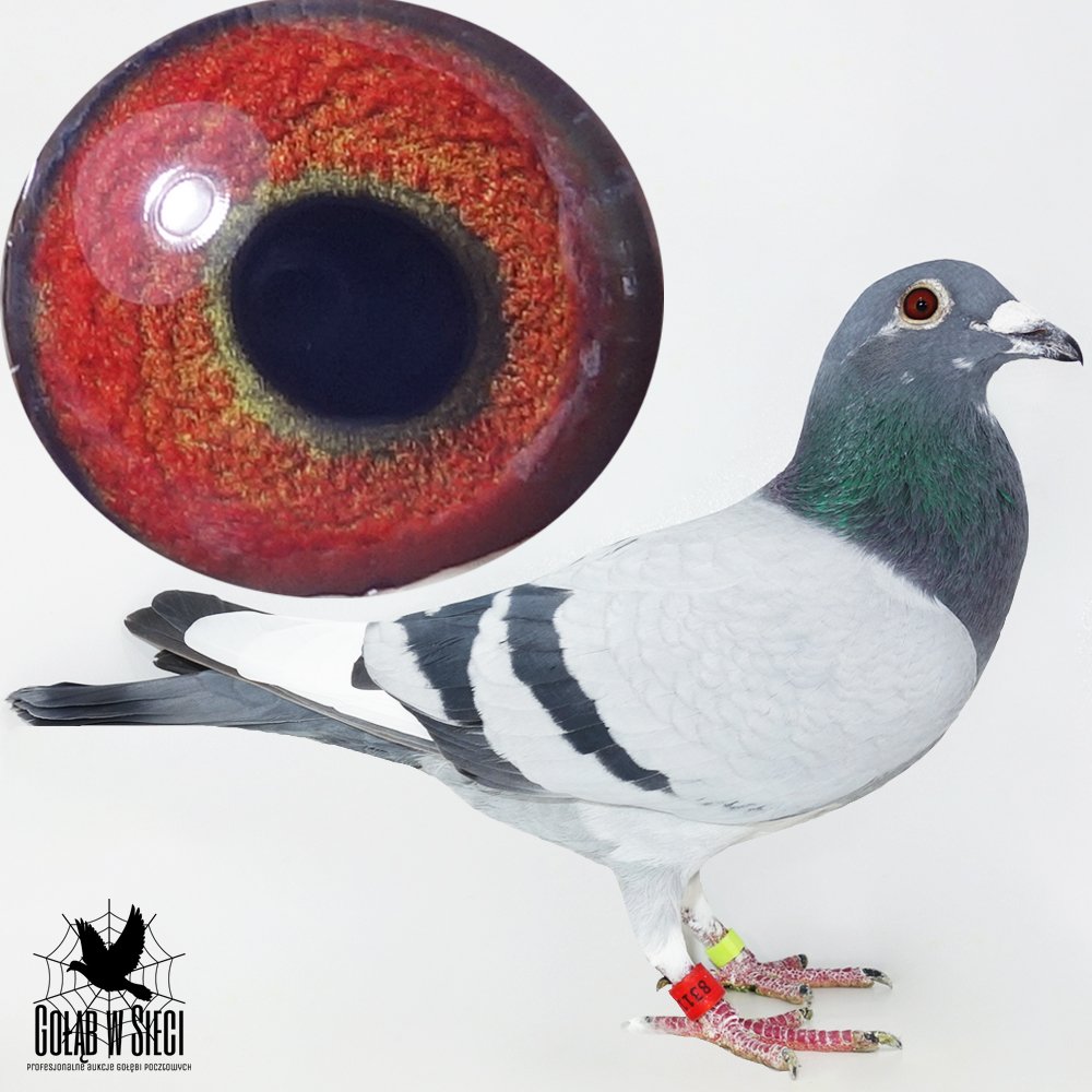 PIOTR & MONIKA BOGDAN