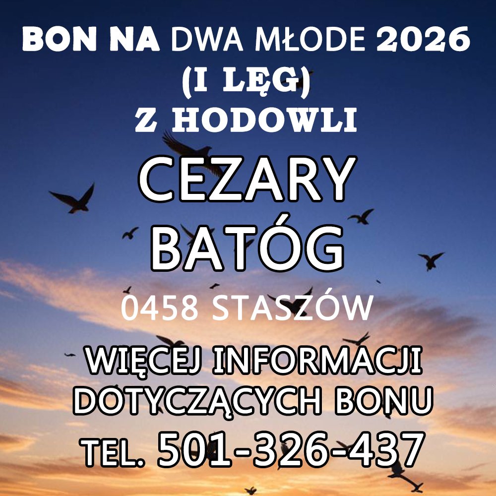 CEZARY BATÓG