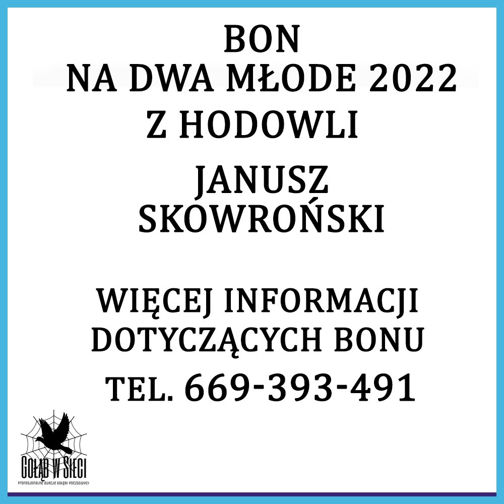 JANUSZ SKOWROŃSKI - 097 KALISZ | BON NA 2 MŁODE GOŁĘBIE Z ROCZNIKA 2022 |