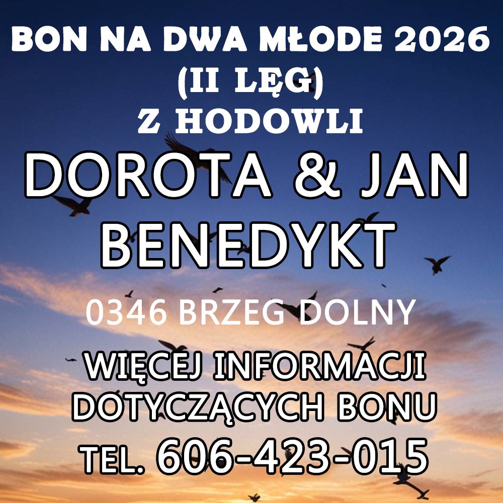 DOROTA & JAN BENEDYKT