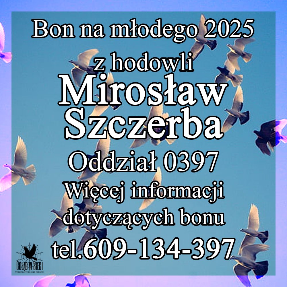 DARCZYŃCA BONU: STĘPIEŃ M. & SZCZERBA M. / PZHGP 0397 SZCZEKOCINY (BON NUMER 2)