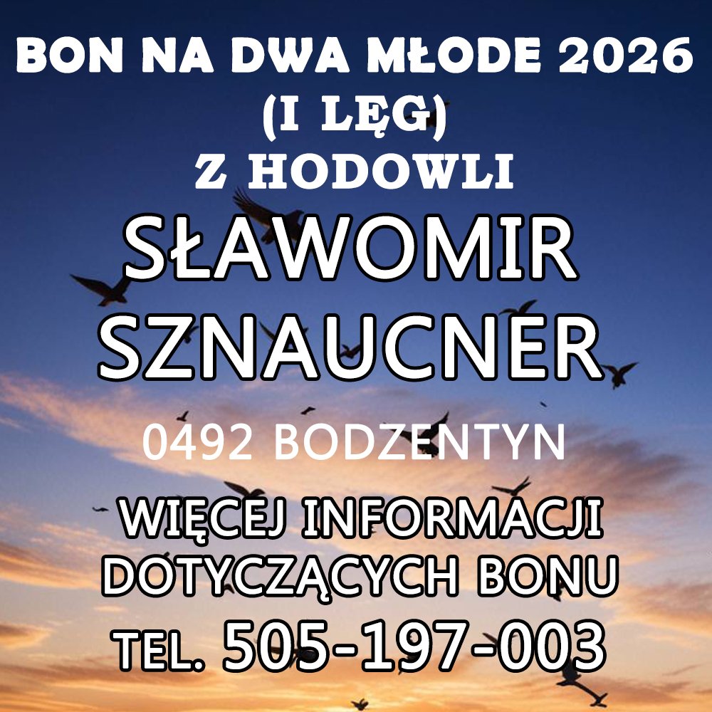 SŁAWOMIR SZNAUCNER