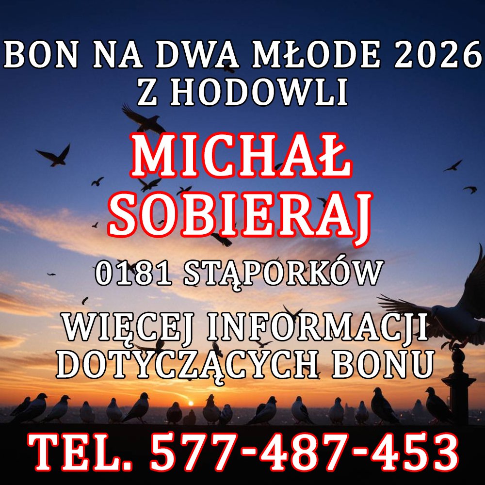 MICHAŁ SOBIERAJ