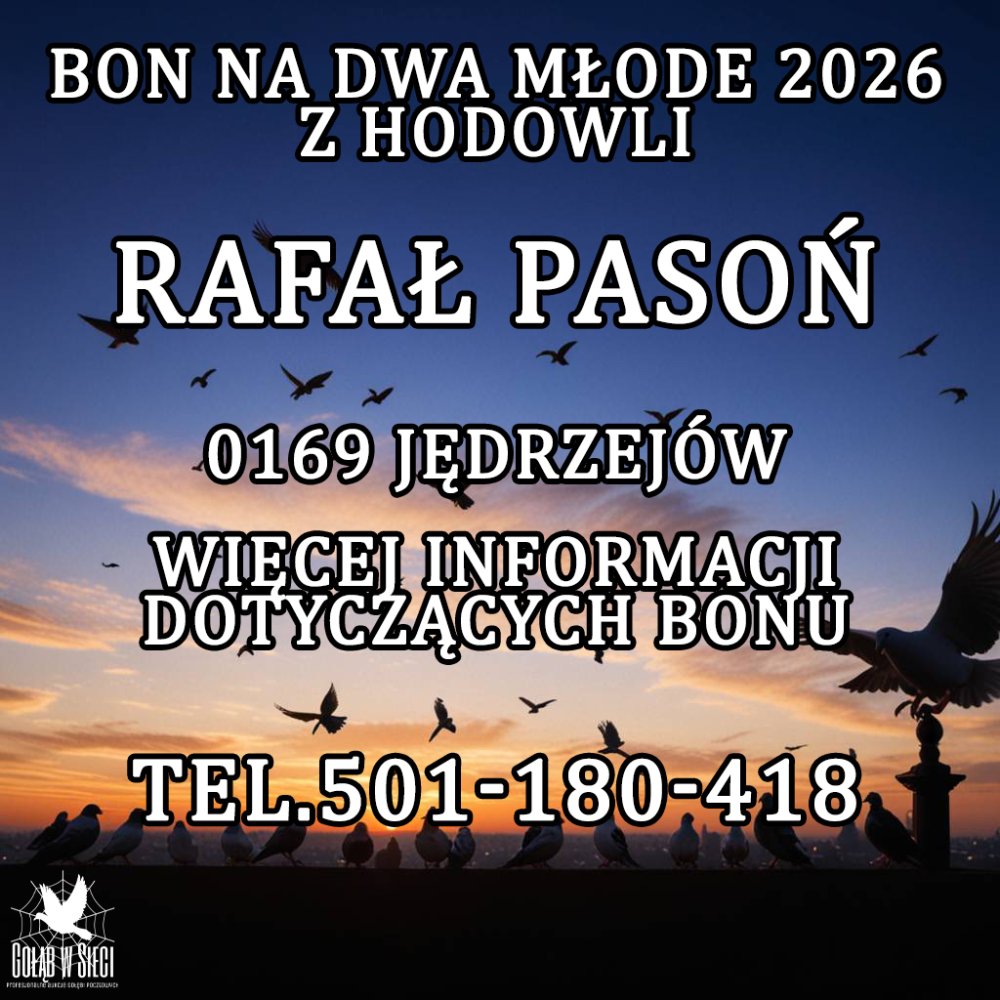 RAFAŁ PASOŃ