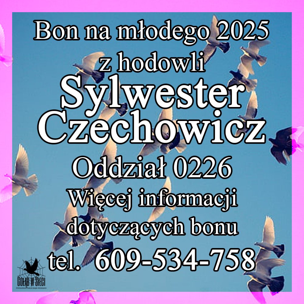 DARCZYŃCA BONU: SYLWESTER CZECHOWICZ / PZHGP 0226 SKIERNIEWICE