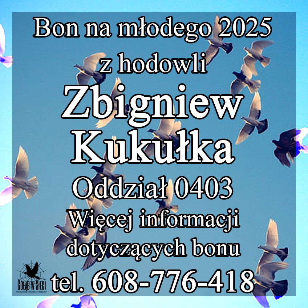 DARCZYŃCA BONU: ZBIGNIEW KUKUŁKA / PZHGP 0403 NOWE BRZESKO