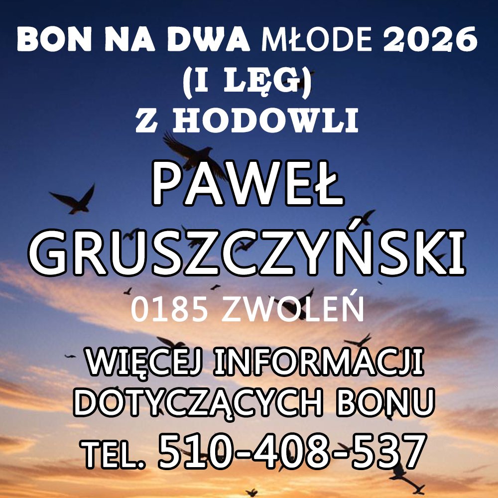 PAWEŁ GRUSZCZYŃSKI