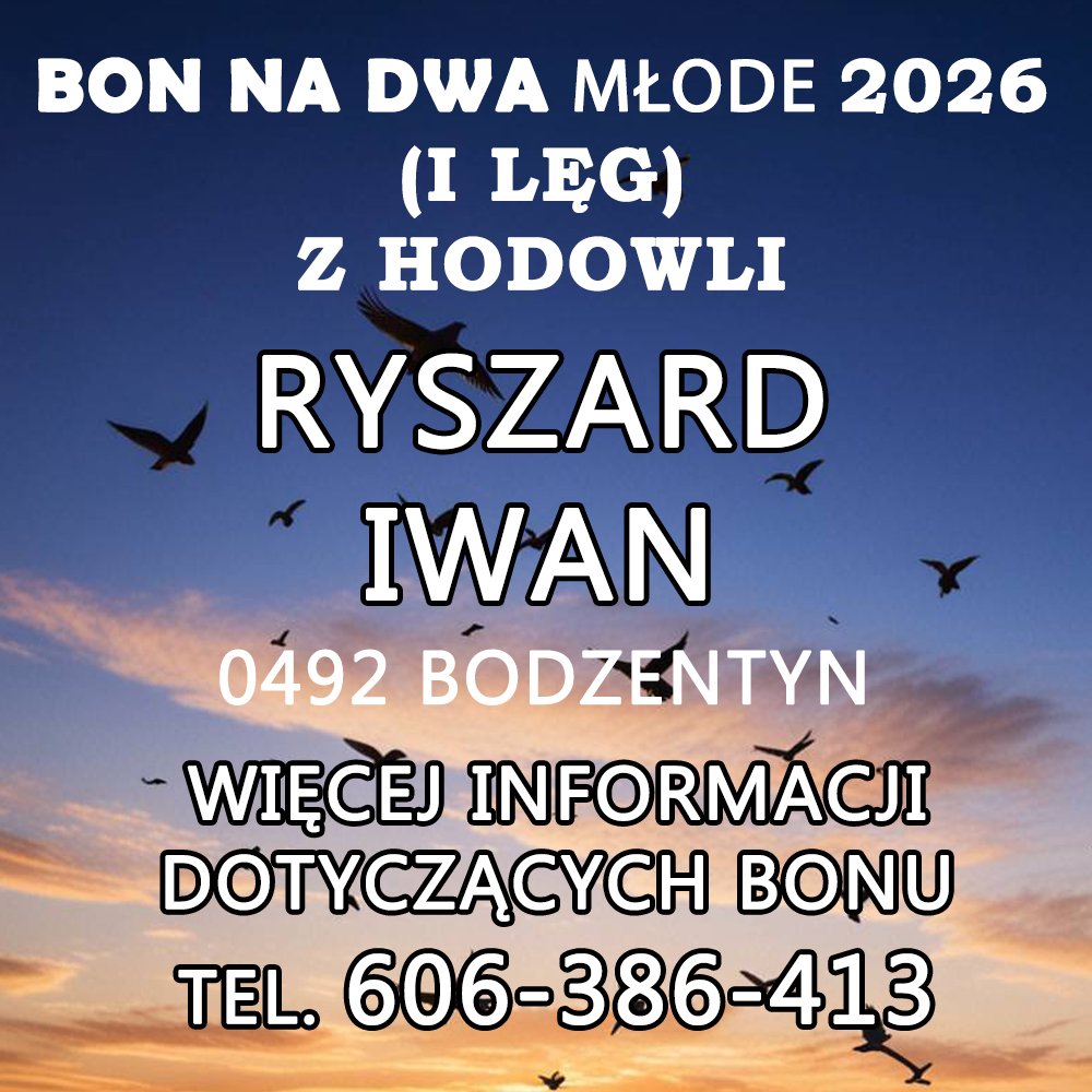 RYSZARD IWAN