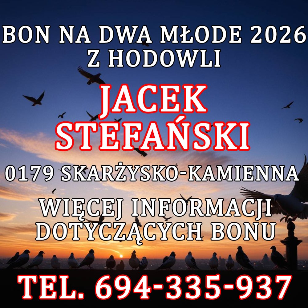 JACEK STEFAŃSKI