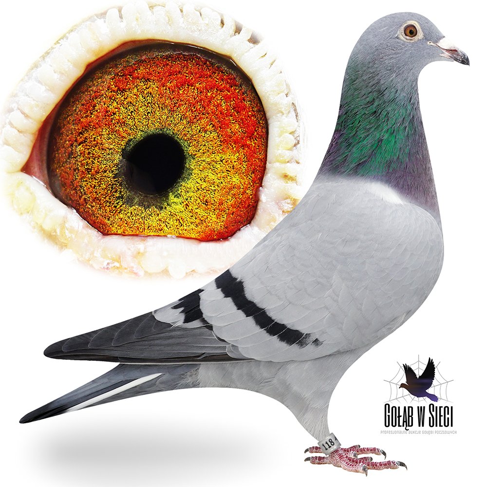 A. & W. PISZCZAŁA (PARA)