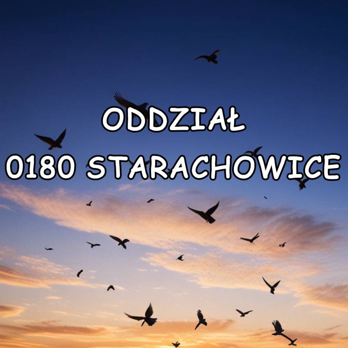 AUKCJA ODDZIAŁU 0180 STARACHOWICE