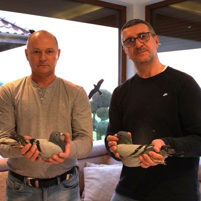 Ulczok W. & Brańczyk D.